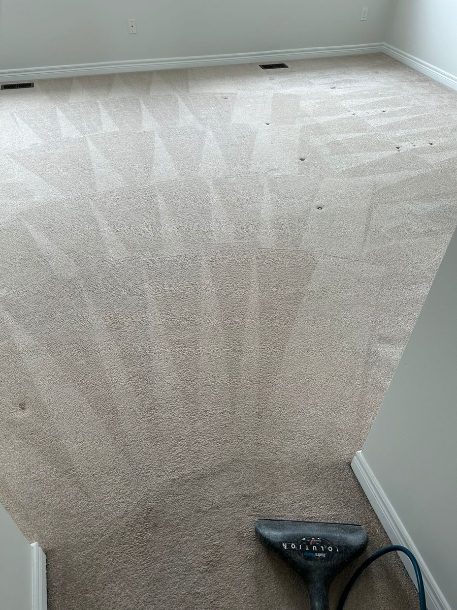 Beige bedroom carpet showing fresh wand strokes after steam cleaning, with the cleaning wand resting at the bottom of the frame