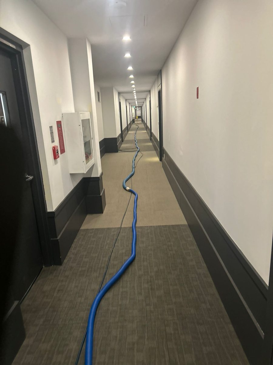 Long hotel corridor with the blue truck-mount hose running down the carpeted centre toward the far end
