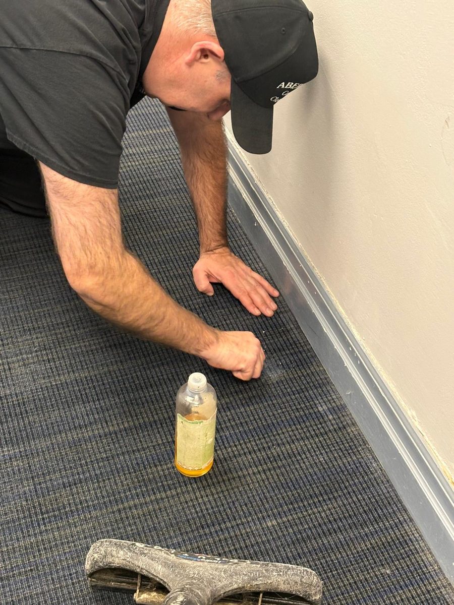 Technician kneeling to hand-treat a spot along the baseboard edge of a blue commercial carpet before extraction